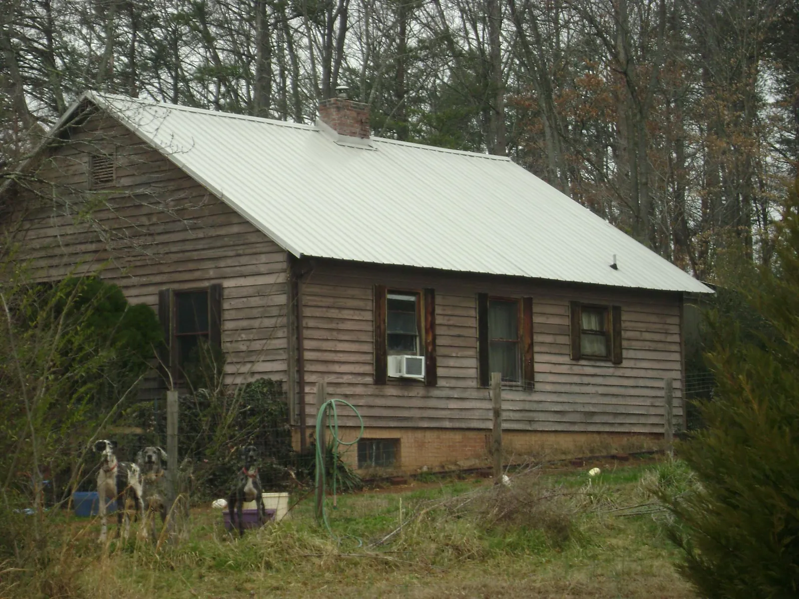 White metal roof on an old wood sided farmhouse, from a Asphalt Shingle Roof Repair job in Bostwick